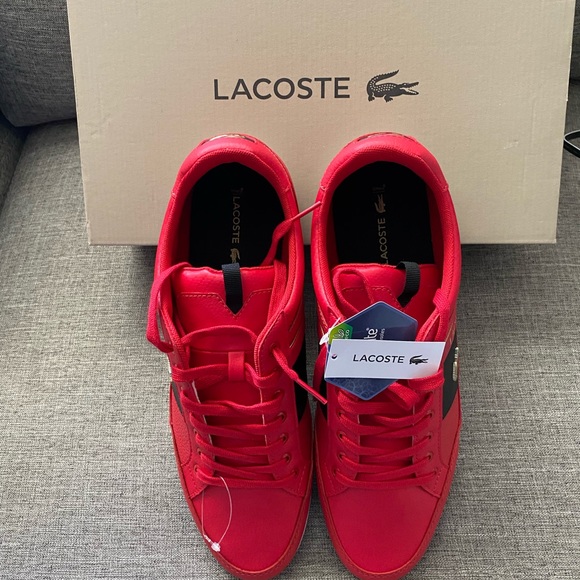 COPY - Brand new Lacoste shoes - Picture 2 of 8